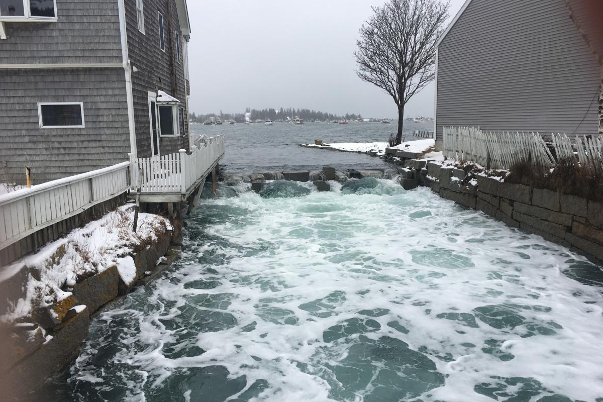 winter tide rushing through a mill race, gray sky, buildings on either side, tree in the background, water is agitated white 