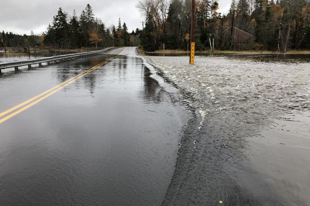 gray overcast sky, landscape of flooded roadway with spruce trees against the sky in the background