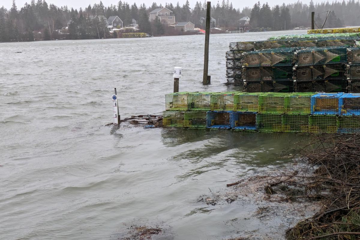 flooded coastal wharf with tidal staff gauge and stacked lobster traps